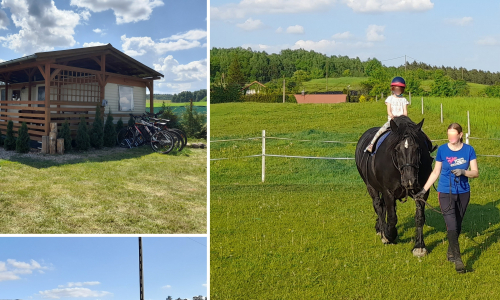 Magnoliowe Domki Mazury okolice Giżycka, jazda konna